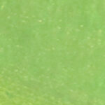 Bright green (Comb-D26YR77-B-C8)